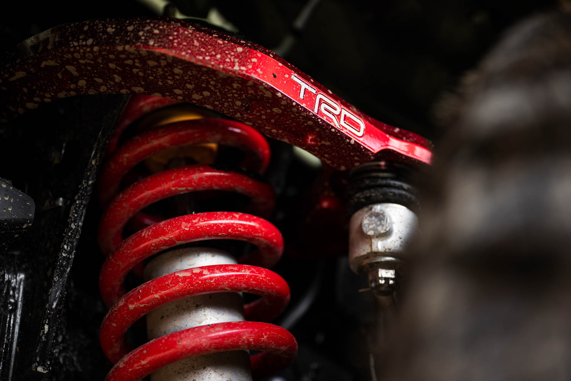 2025 Toyota Tacoma TRD Pro 024 | Memo Lira