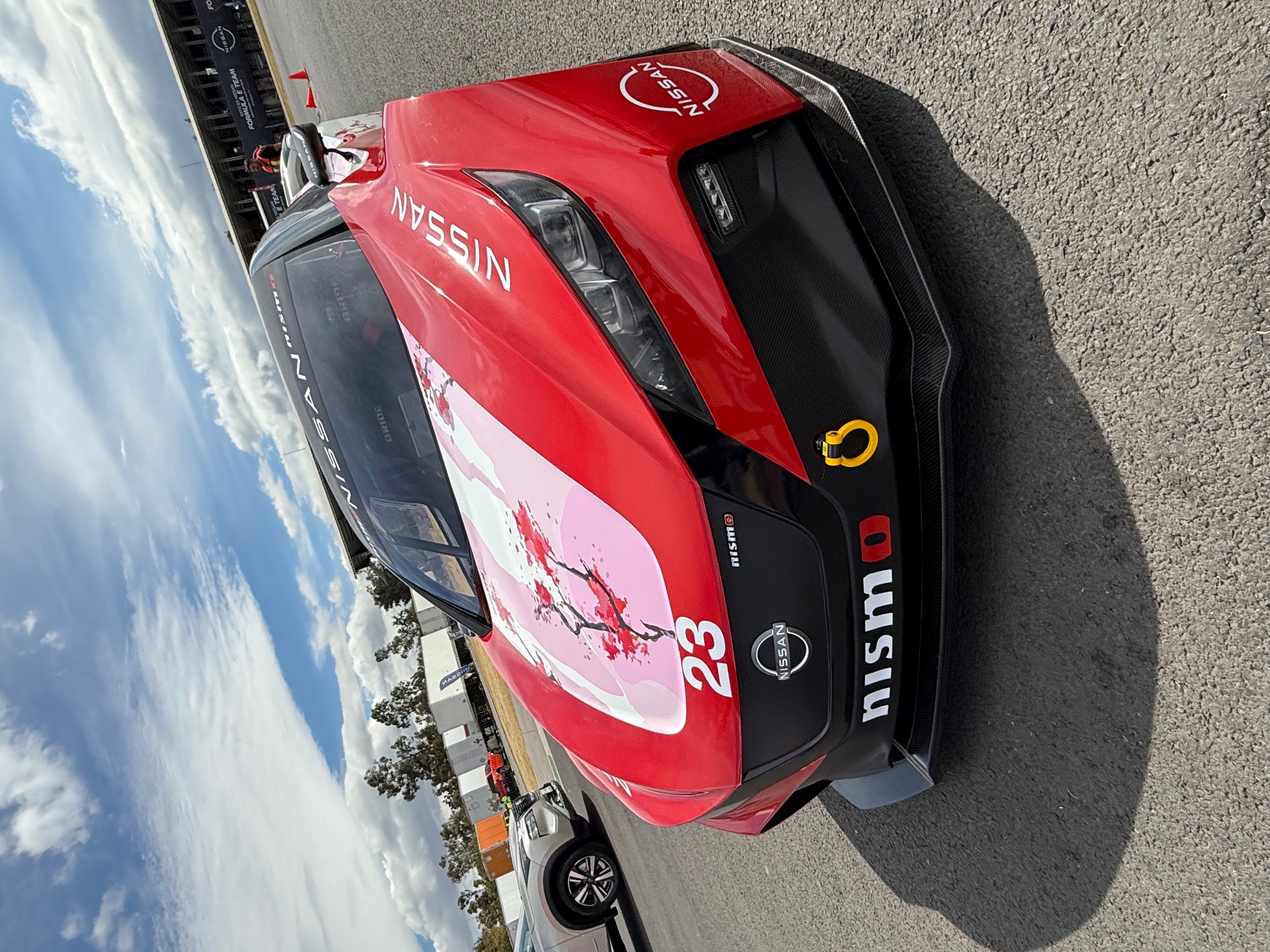 Leaf Nismo | Memo Lira